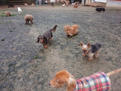 f:id:roukenhome-ann:20181208053948j:plain