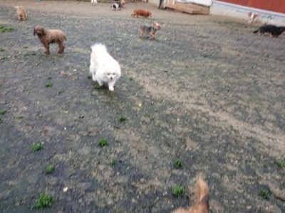 f:id:roukenhome-ann:20181208053957j:plain