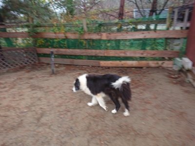 f:id:roukenhome-ann:20181208054012j:plain