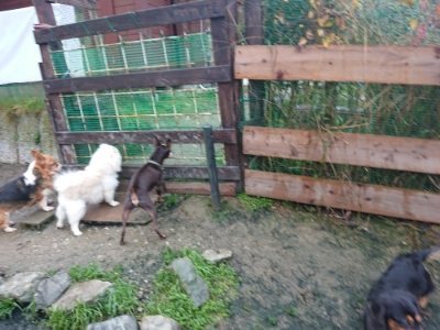 f:id:roukenhome-ann:20181208054021j:plain