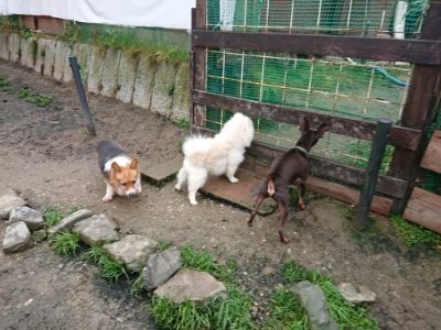 f:id:roukenhome-ann:20181208054054j:plain