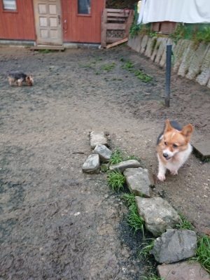f:id:roukenhome-ann:20181208054058j:plain