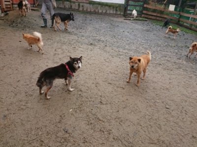 f:id:roukenhome-ann:20181208054118j:plain