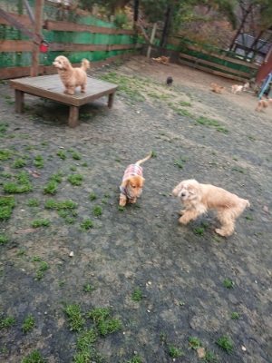 f:id:roukenhome-ann:20181208054132j:plain