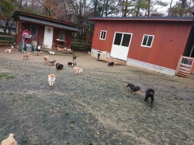 f:id:roukenhome-ann:20181208054200j:plain