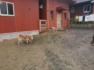 f:id:roukenhome-ann:20181208072258j:plain