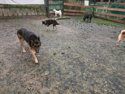 f:id:roukenhome-ann:20181208072322j:plain