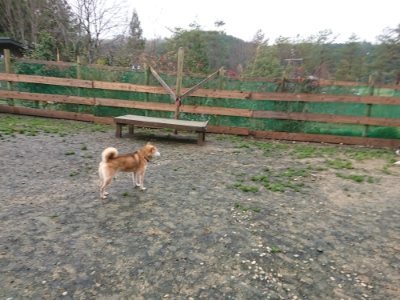 f:id:roukenhome-ann:20181208072328j:plain