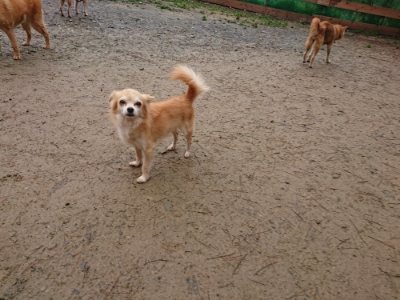 f:id:roukenhome-ann:20181208072545j:plain