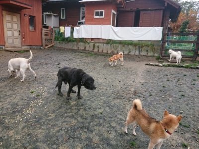 f:id:roukenhome-ann:20181208073033j:plain