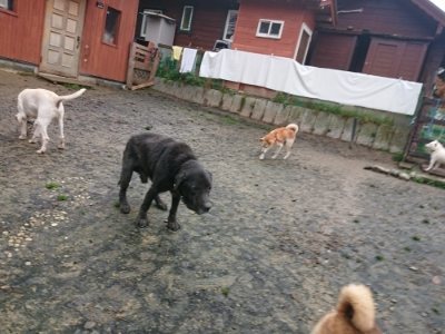 f:id:roukenhome-ann:20181208073039j:plain
