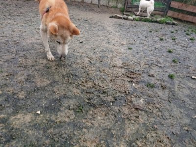 f:id:roukenhome-ann:20181208073059j:plain