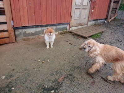 f:id:roukenhome-ann:20181208073309j:plain