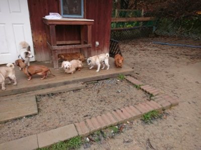 f:id:roukenhome-ann:20181208073331j:plain