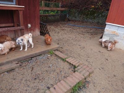 f:id:roukenhome-ann:20181208073335j:plain