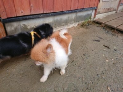 f:id:roukenhome-ann:20181208073701j:plain