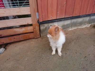 f:id:roukenhome-ann:20181208073706j:plain