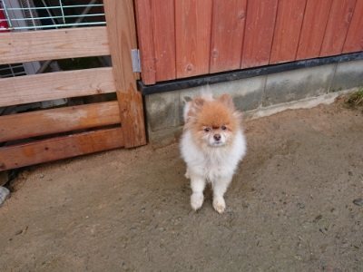 f:id:roukenhome-ann:20181208073711j:plain