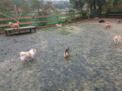 f:id:roukenhome-ann:20181208073738j:plain