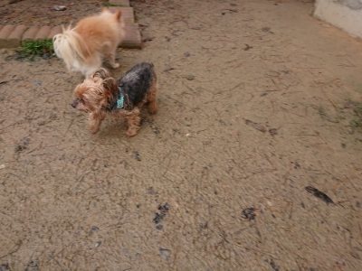 f:id:roukenhome-ann:20181208075101j:plain