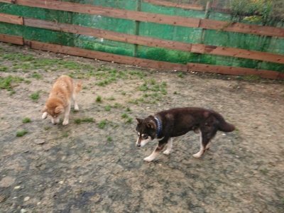 f:id:roukenhome-ann:20181208075114j:plain