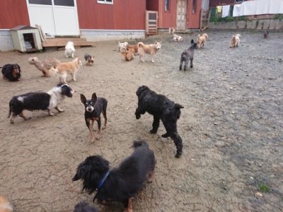 f:id:roukenhome-ann:20181208075138j:plain