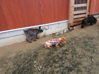 f:id:roukenhome-ann:20181208081017j:plain