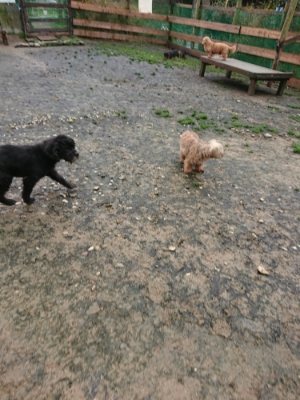 f:id:roukenhome-ann:20181208081122j:plain