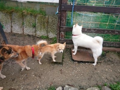 f:id:roukenhome-ann:20181208081200j:plain