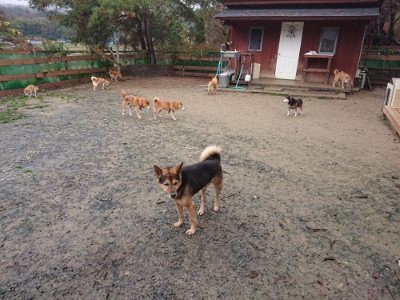 f:id:roukenhome-ann:20181208081305j:plain