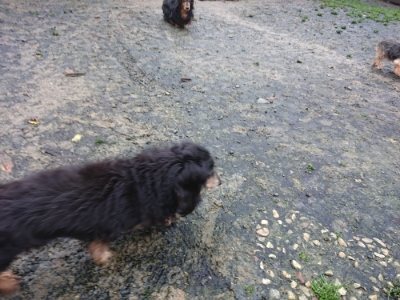 f:id:roukenhome-ann:20181208084135j:plain