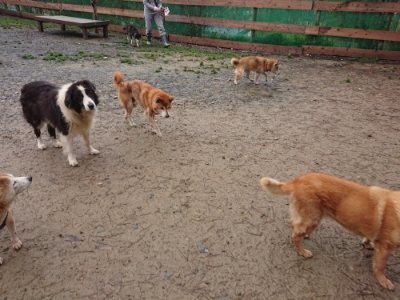 f:id:roukenhome-ann:20181208084233j:plain