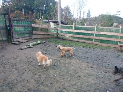 f:id:roukenhome-ann:20181209053040j:plain