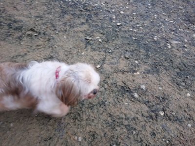f:id:roukenhome-ann:20181209084404j:plain