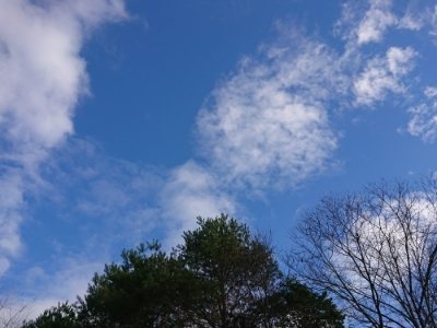 f:id:roukenhome-ann:20181209084413j:plain