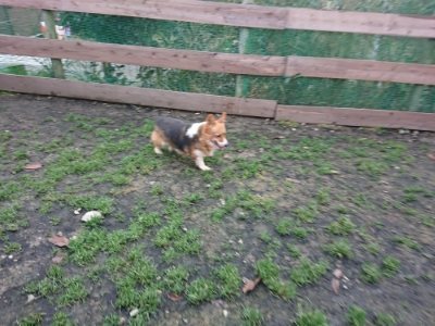f:id:roukenhome-ann:20181209084428j:plain