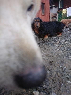 f:id:roukenhome-ann:20181209084622j:plain