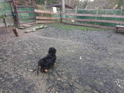 f:id:roukenhome-ann:20181209084851j:plain