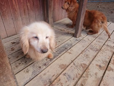 f:id:roukenhome-ann:20181209085021j:plain