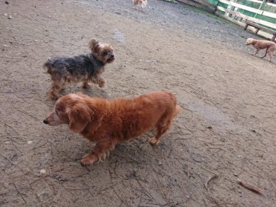 f:id:roukenhome-ann:20181209085037j:plain