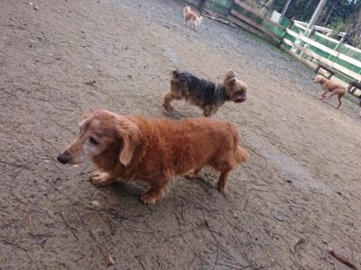 f:id:roukenhome-ann:20181209085105j:plain