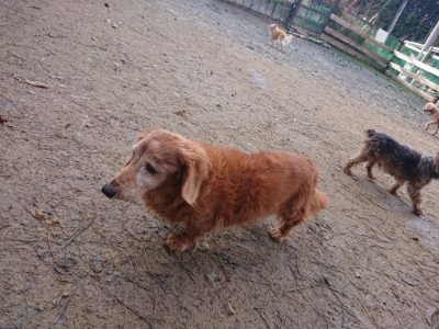 f:id:roukenhome-ann:20181209085110j:plain