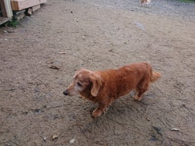 f:id:roukenhome-ann:20181209085223j:plain