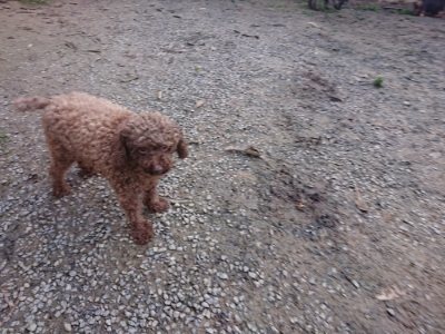 f:id:roukenhome-ann:20181209085412j:plain