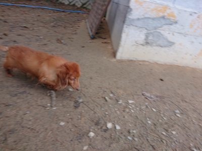 f:id:roukenhome-ann:20181209085803j:plain