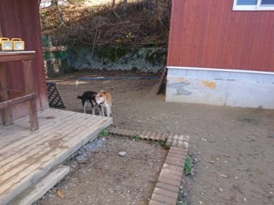 f:id:roukenhome-ann:20181209085817j:plain