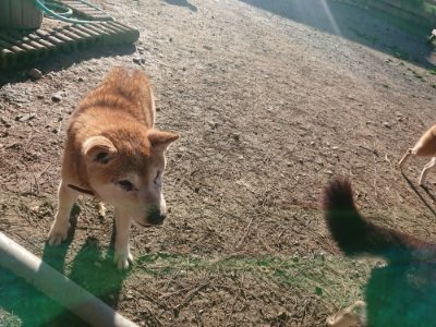 f:id:roukenhome-ann:20181209085900j:plain