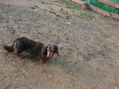 f:id:roukenhome-ann:20181209114508j:plain