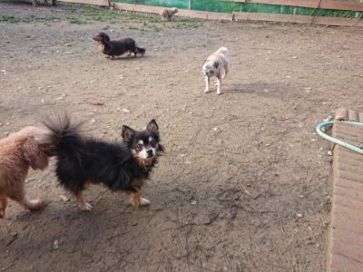f:id:roukenhome-ann:20181209114518j:plain