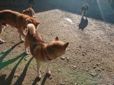 f:id:roukenhome-ann:20181209114522j:plain